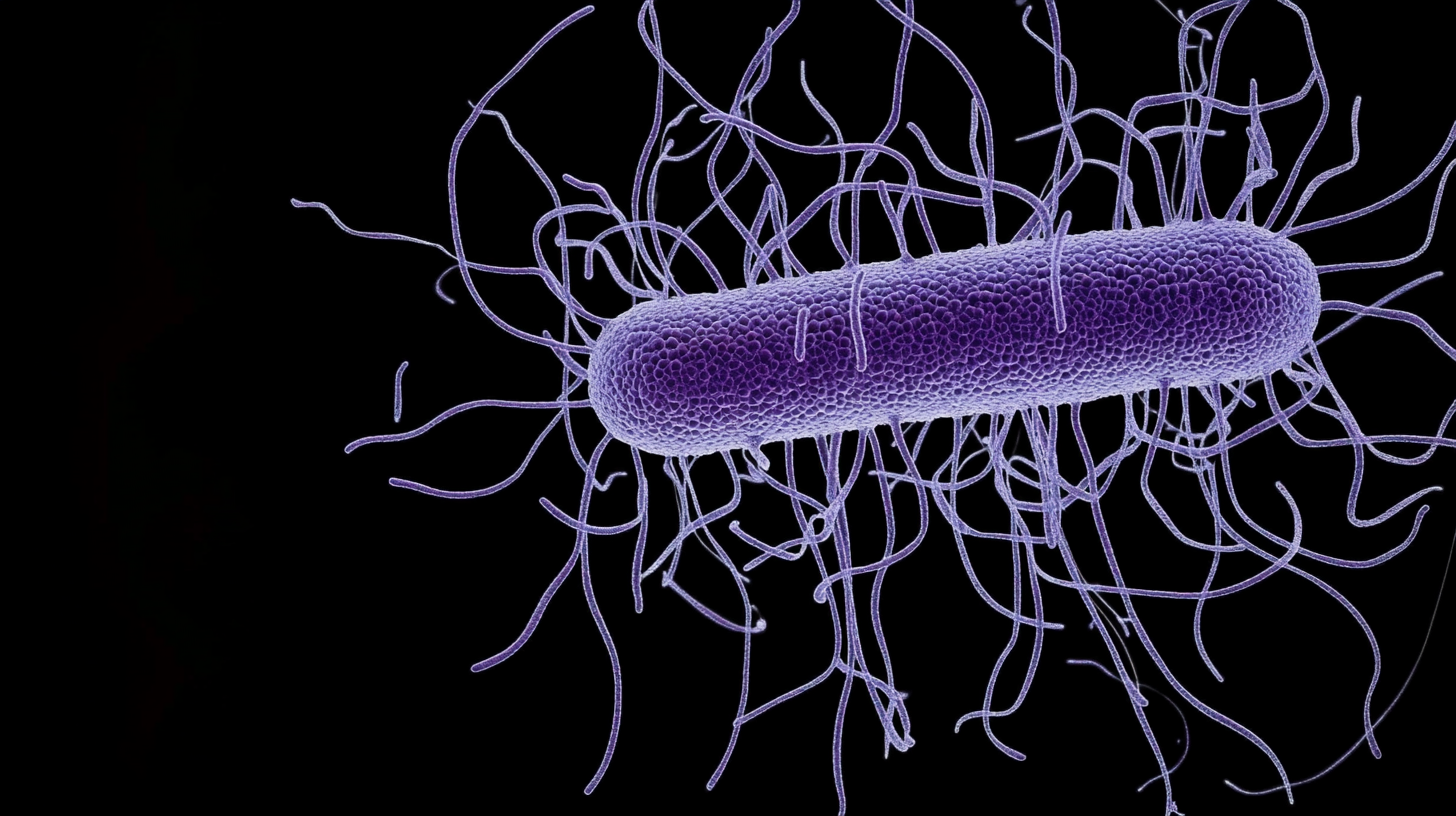 Steen Dannemann Andersen